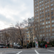 Image for article titled Photo Essay: NYC's Incredible Christmas Tree Seller Subculture